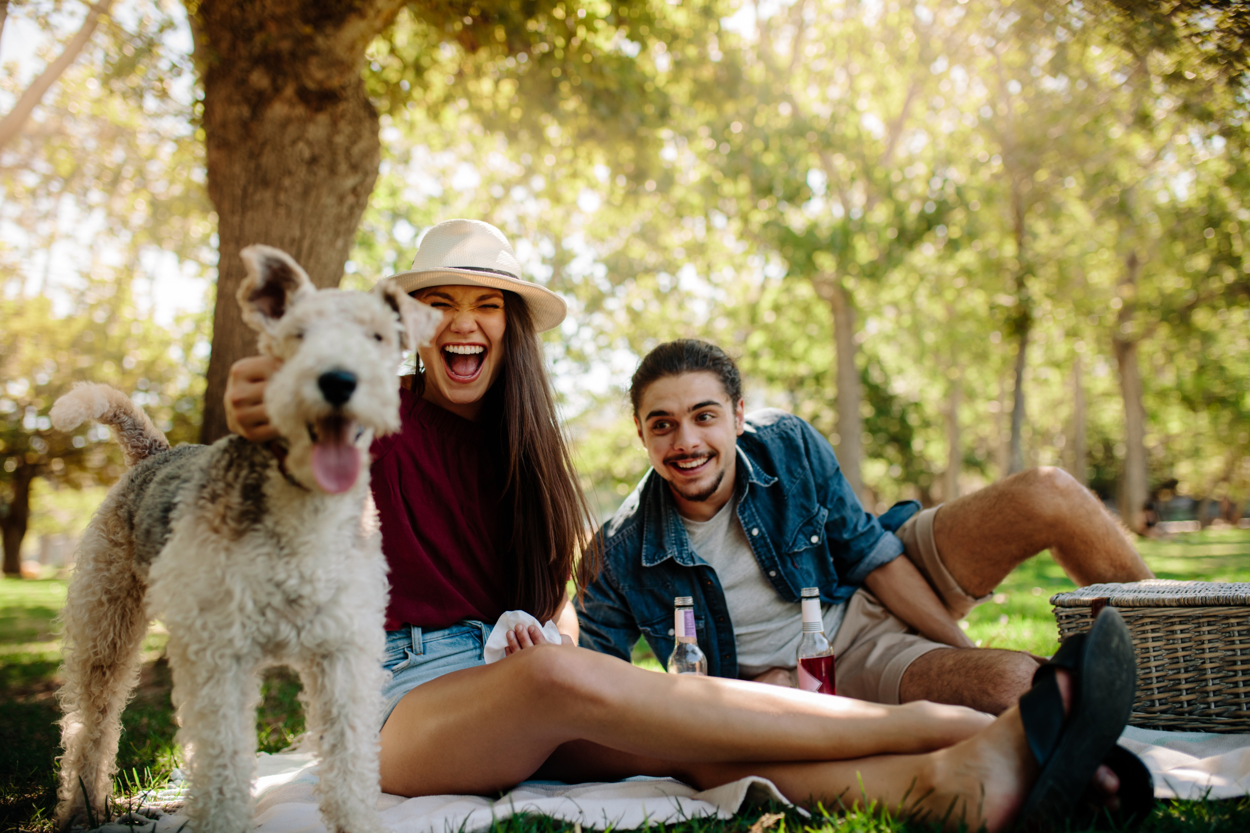 owners with dog at a park