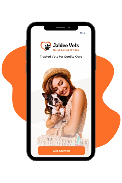 Download jaldee vets app to consult online with veterinarians