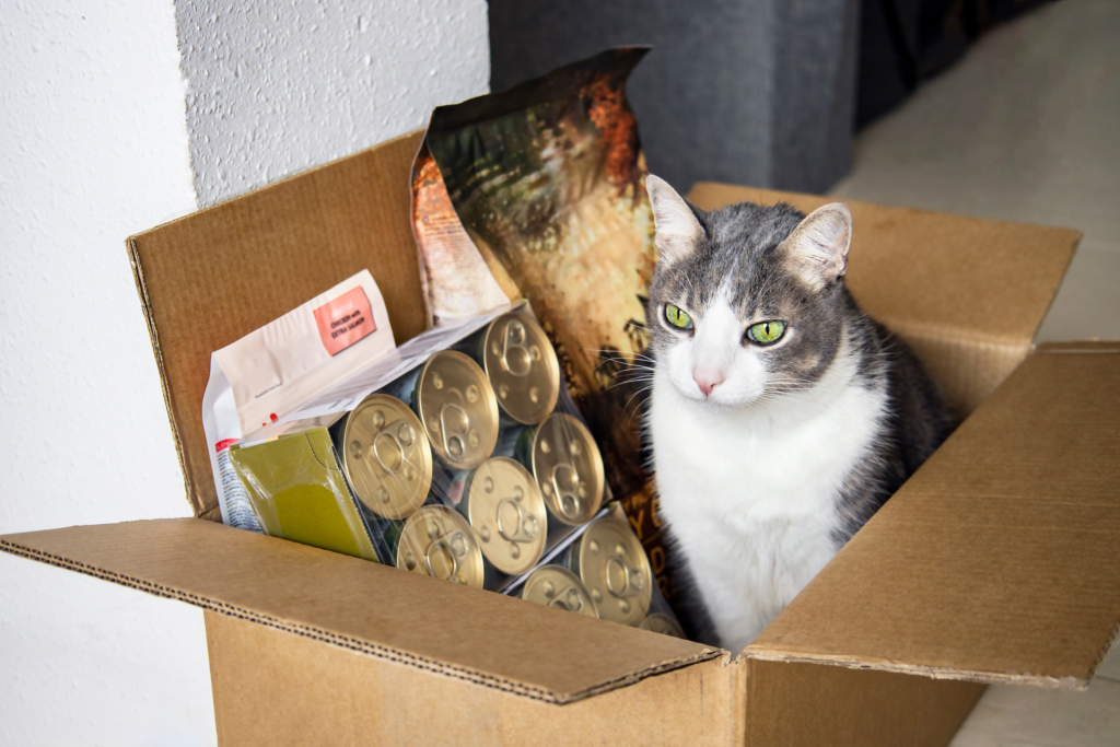 cat sitting beside its food in a box