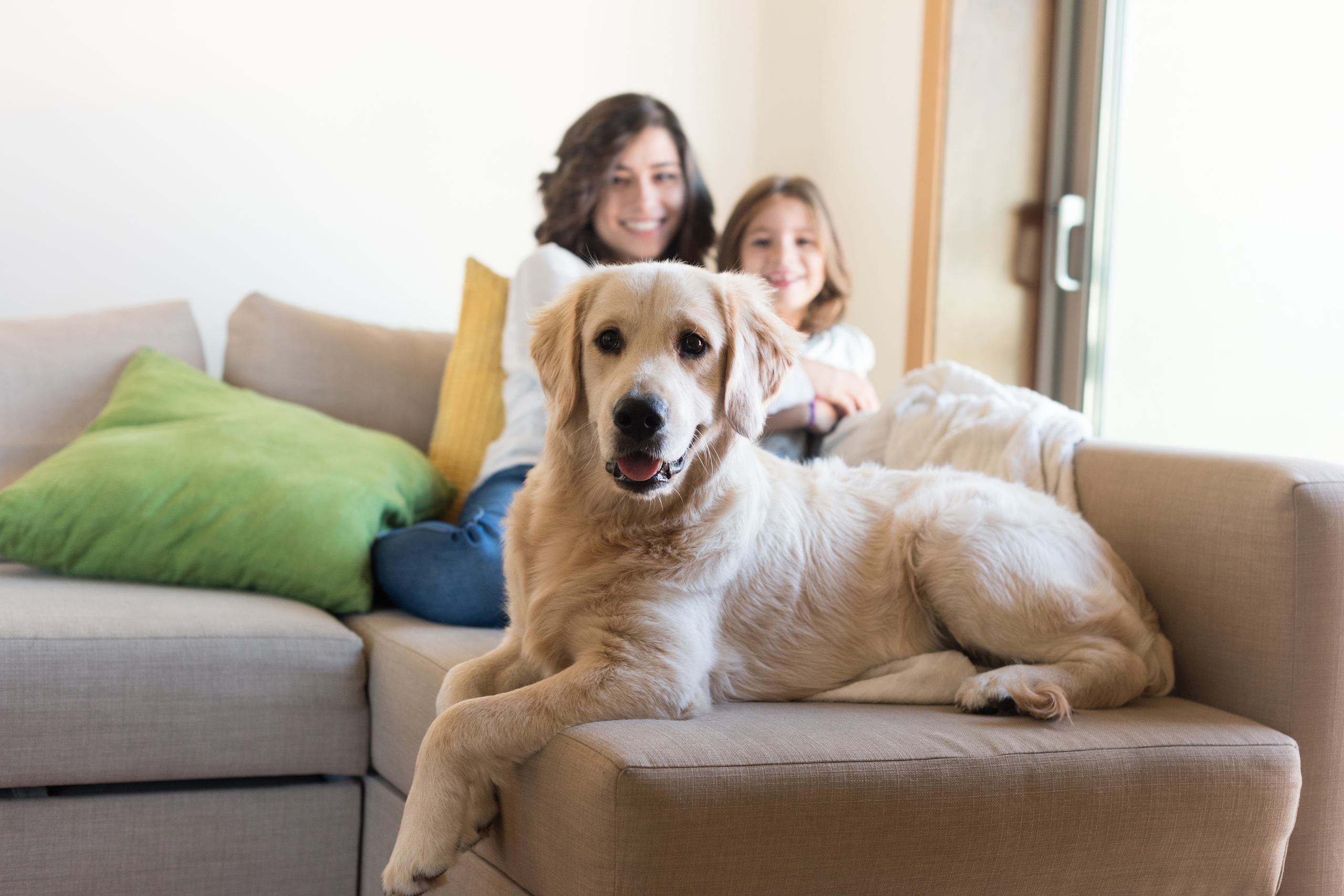 mother and daughter smiling at a golden retriever sitting on the sofa