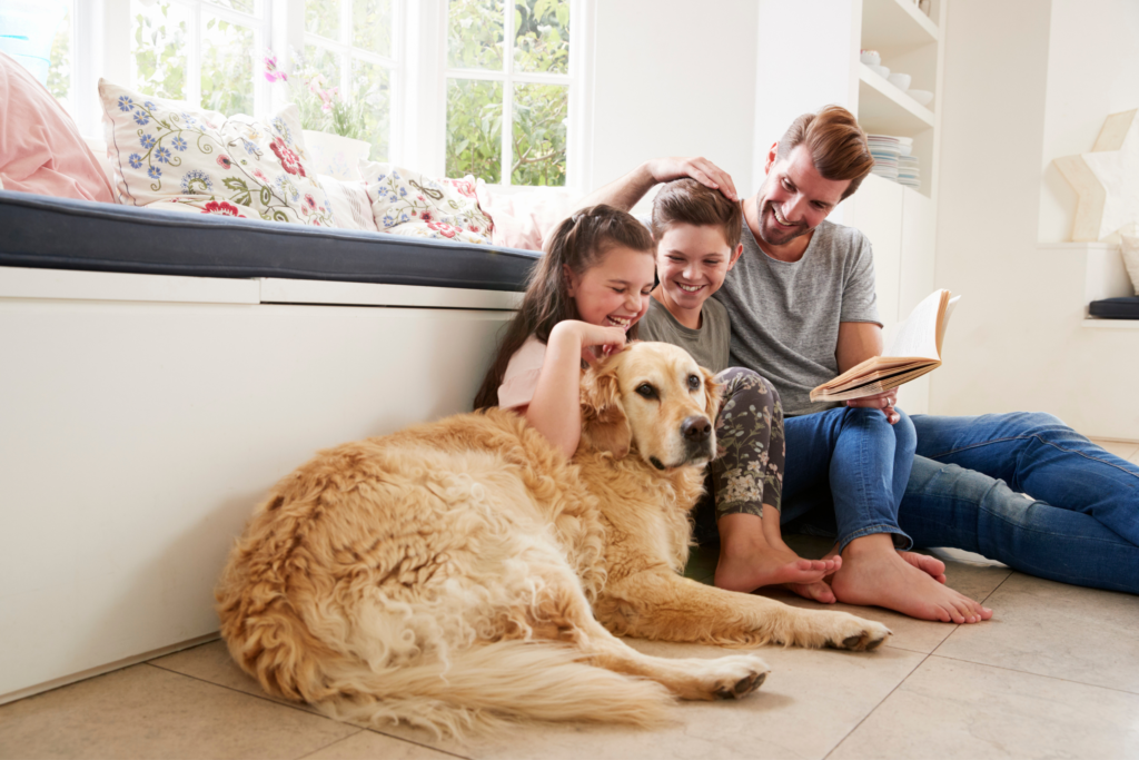 a family of 3 petting their golden retriever on their floor