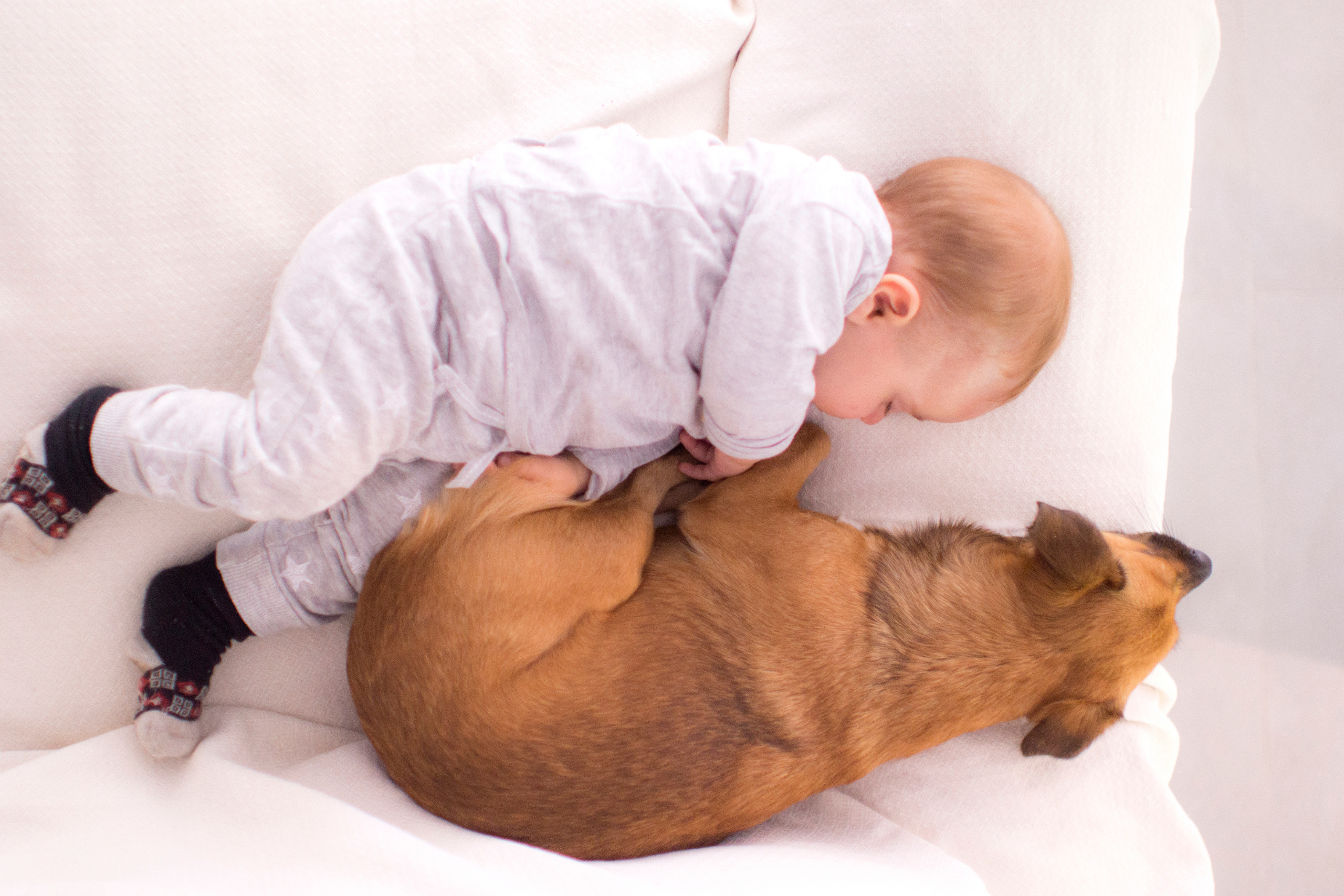 newborn baby sleeping beside a dog