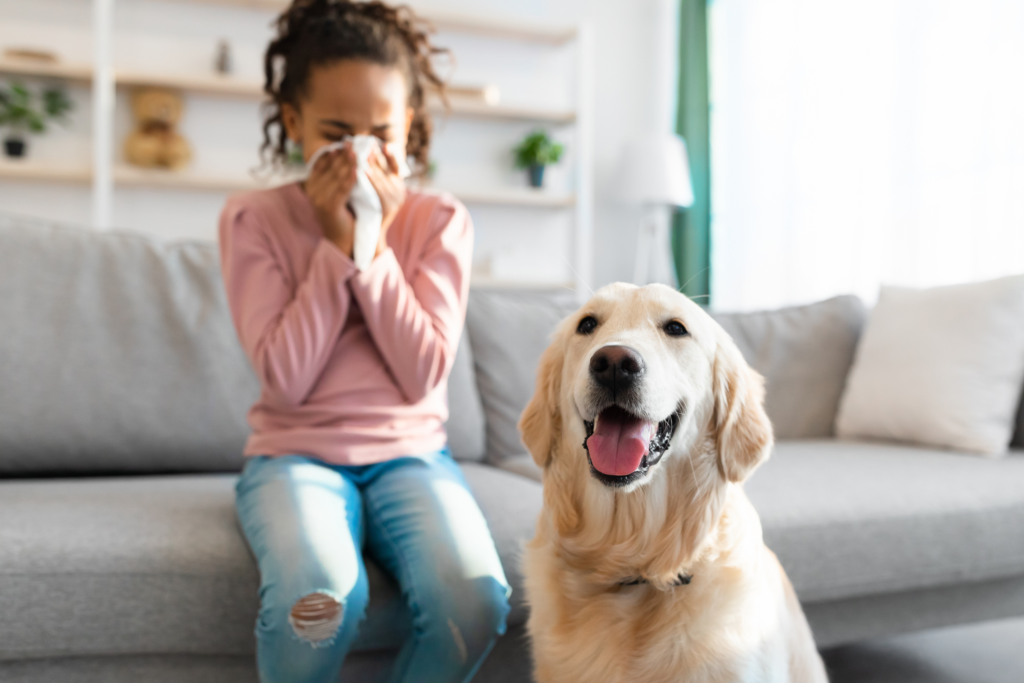 child sneezing because of pet allergies