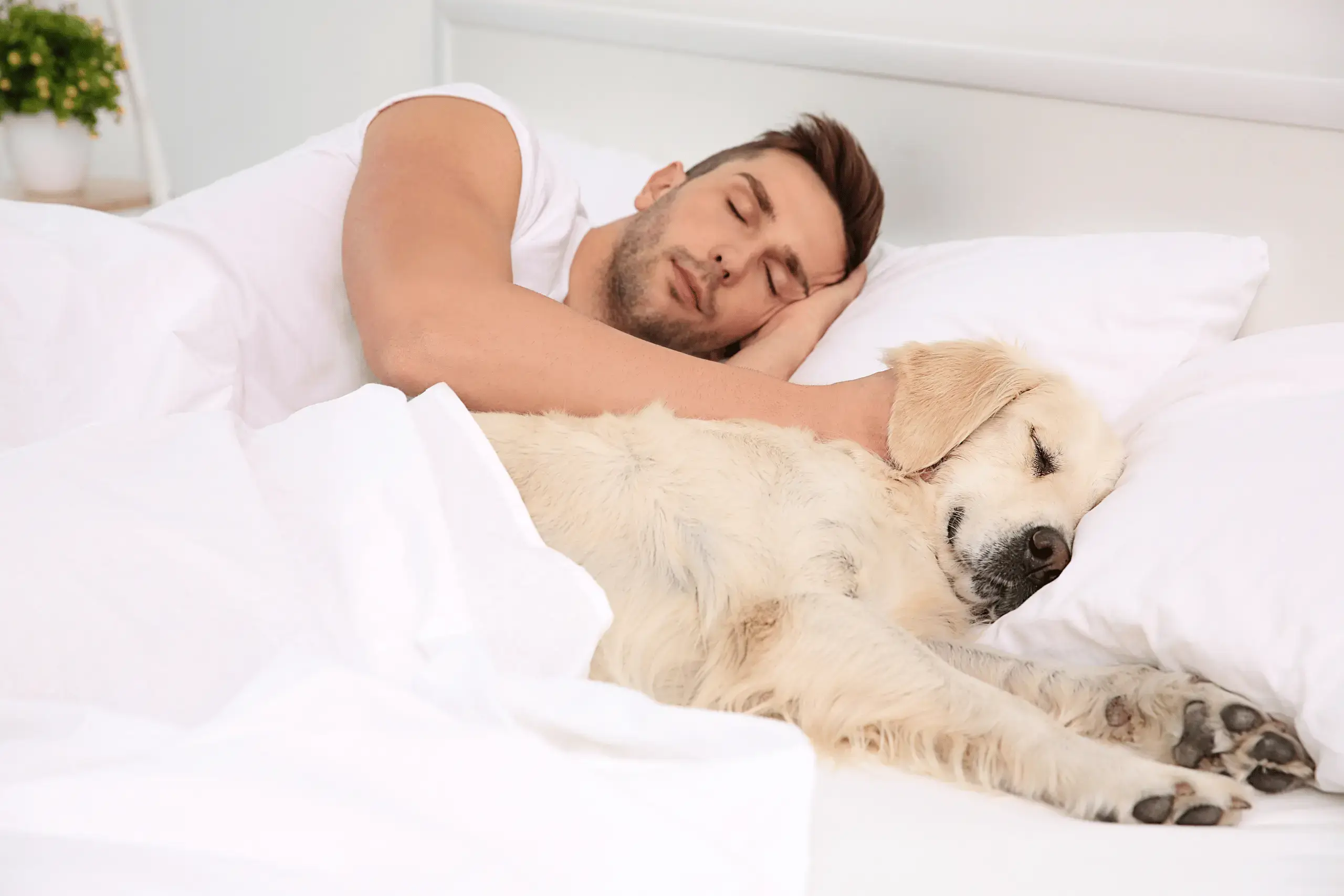 pet parent taking a nap with their pet as part of their self-care routine