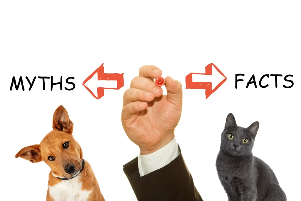 pet myths vs facts dog and cats edition